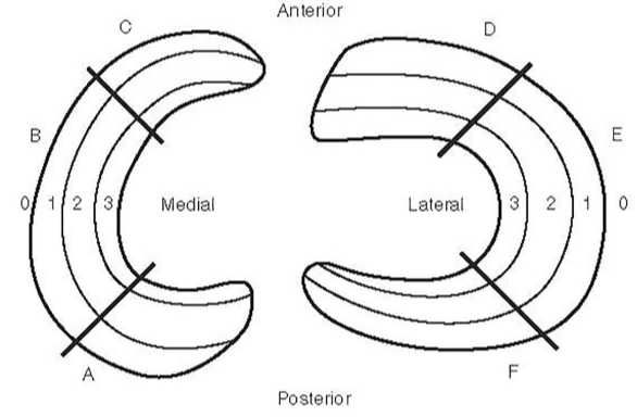 Meniscus Zones