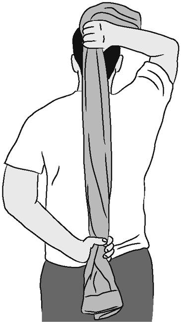 Illustration of shoulder internal rotation (assisted)