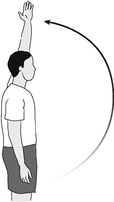 Ilustración de la elevación del hombro hacia adelante (activo)
