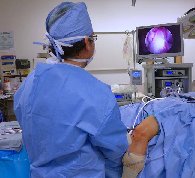 Blue Jay baby recovering in Hospital from Neck Wound