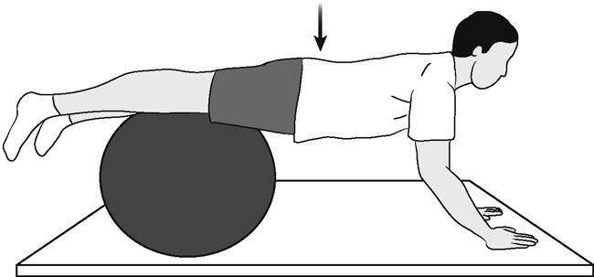 Low Back Surgery Exercise Guide - OrthoInfo - AAOS