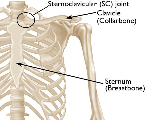 Sternum popping pain