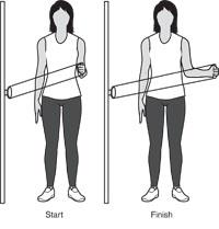 Shoulder Girdle Exercises - Erbst OrthoSport Physical Therapy