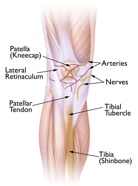 pain under patella