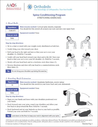 Spine Conditioning Program Orthoinfo Aaos