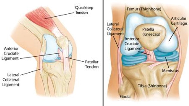 strained knee cap