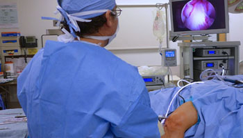 knee arthroscopy