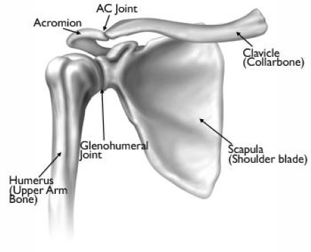 Arthritis of the Shoulder - OrthoInfo - AAOS