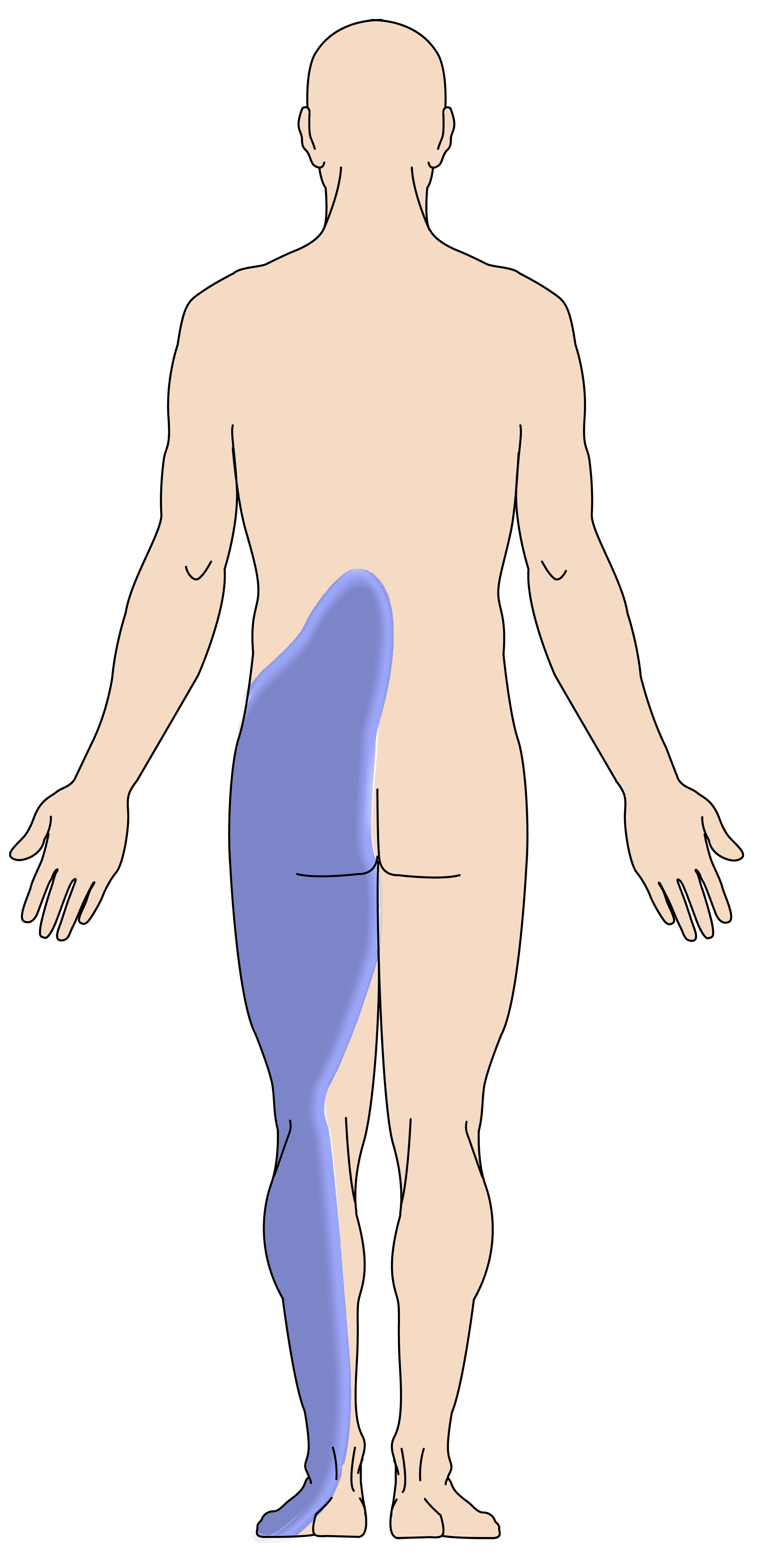 lumbar spine pain