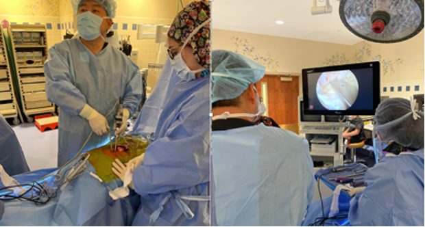 Endoscopic Minimally Invasive Spine Surgery