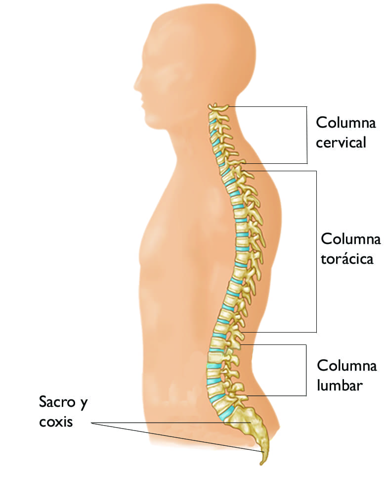 Dolor cervical. ›