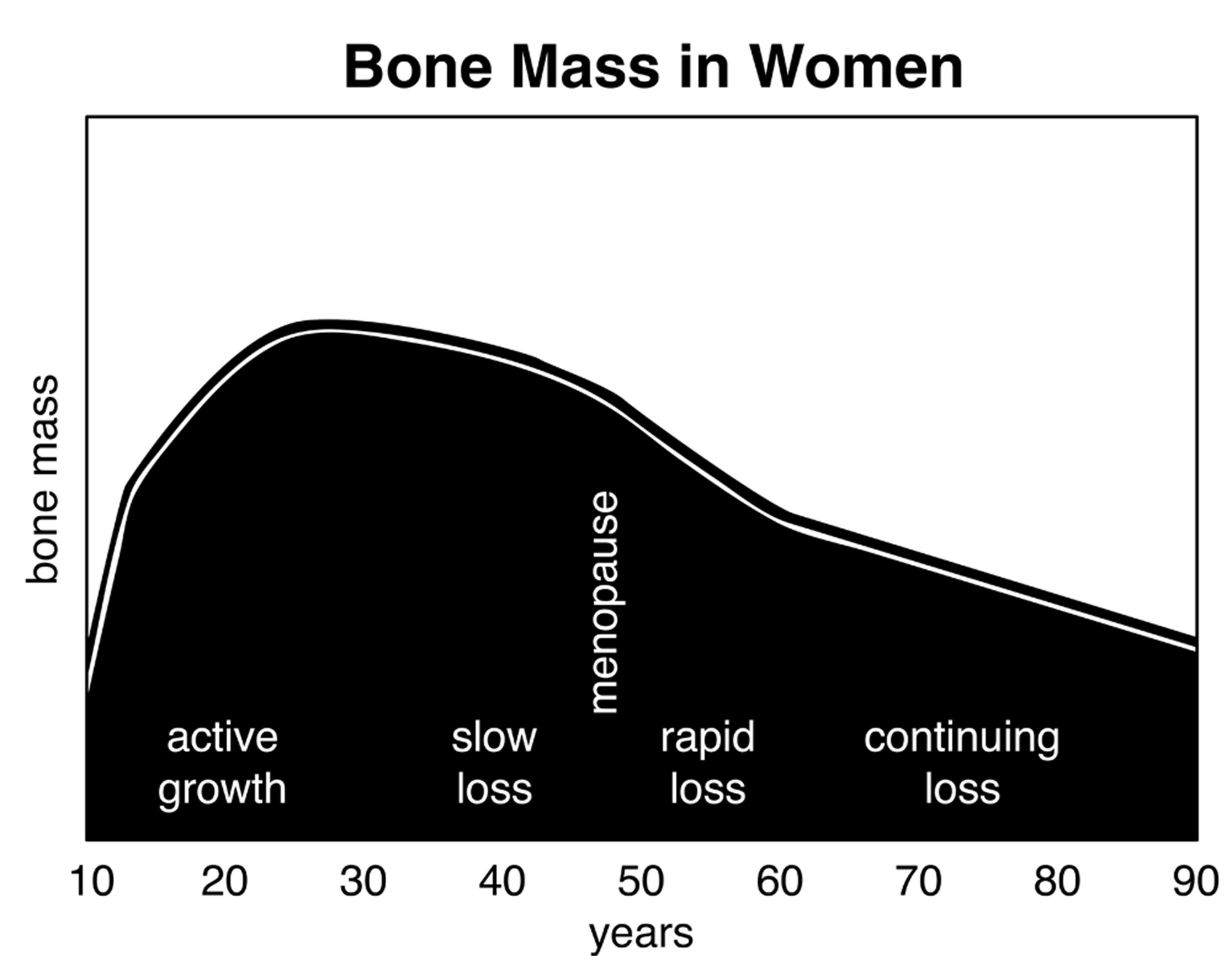 Bone mass chart