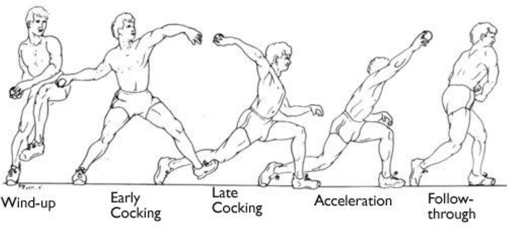 baseball pitching phases