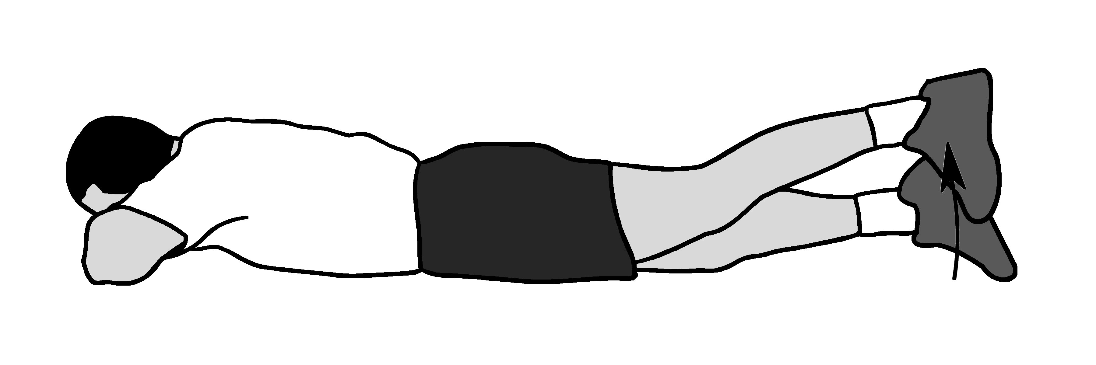 Straight-leg raises (prone)