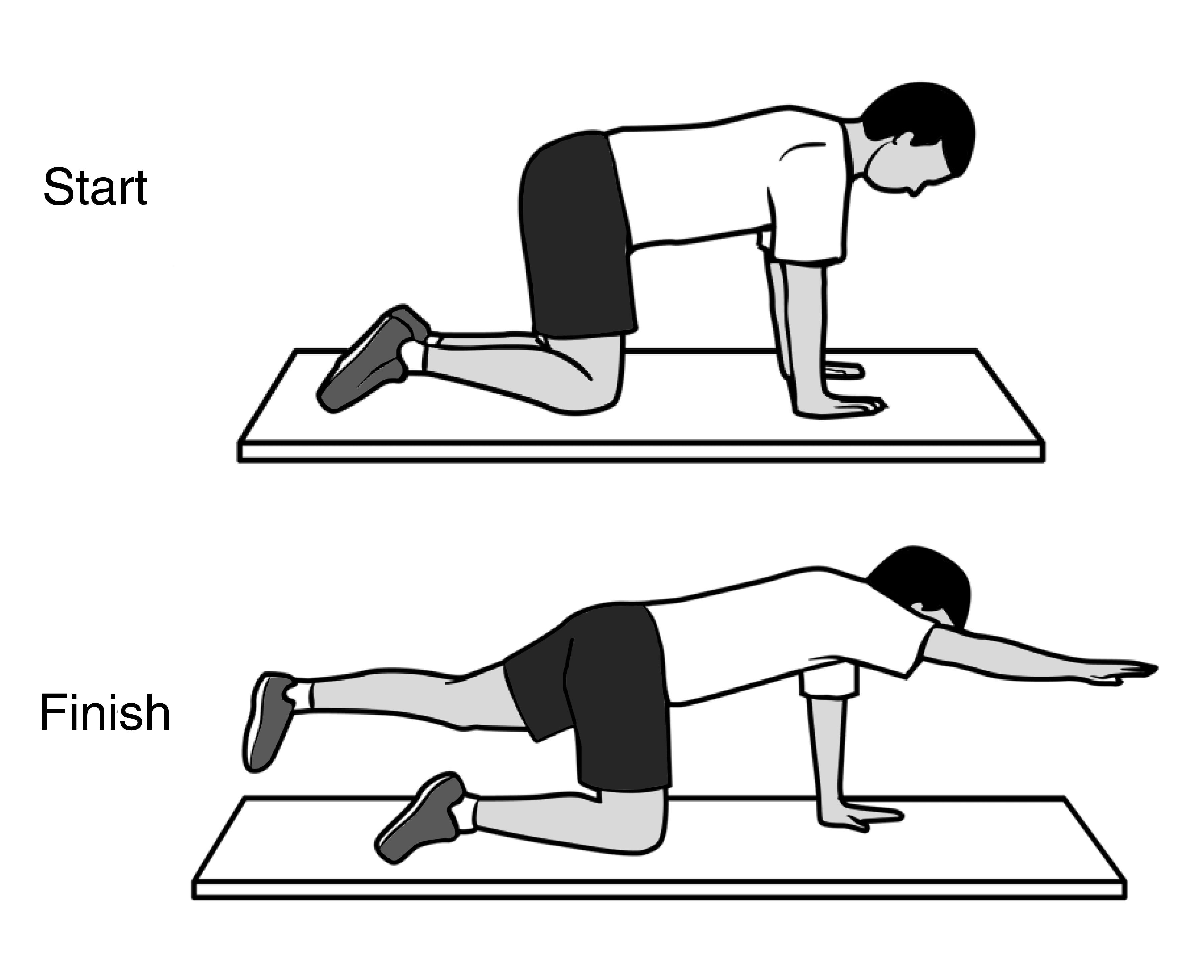 Spine Strengthening Exercises