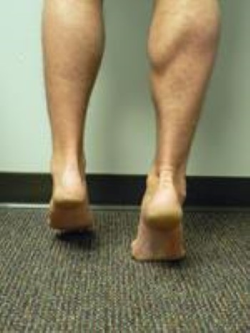 posterior tibial pain