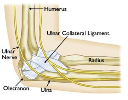 Diagram Of Elbow Pain