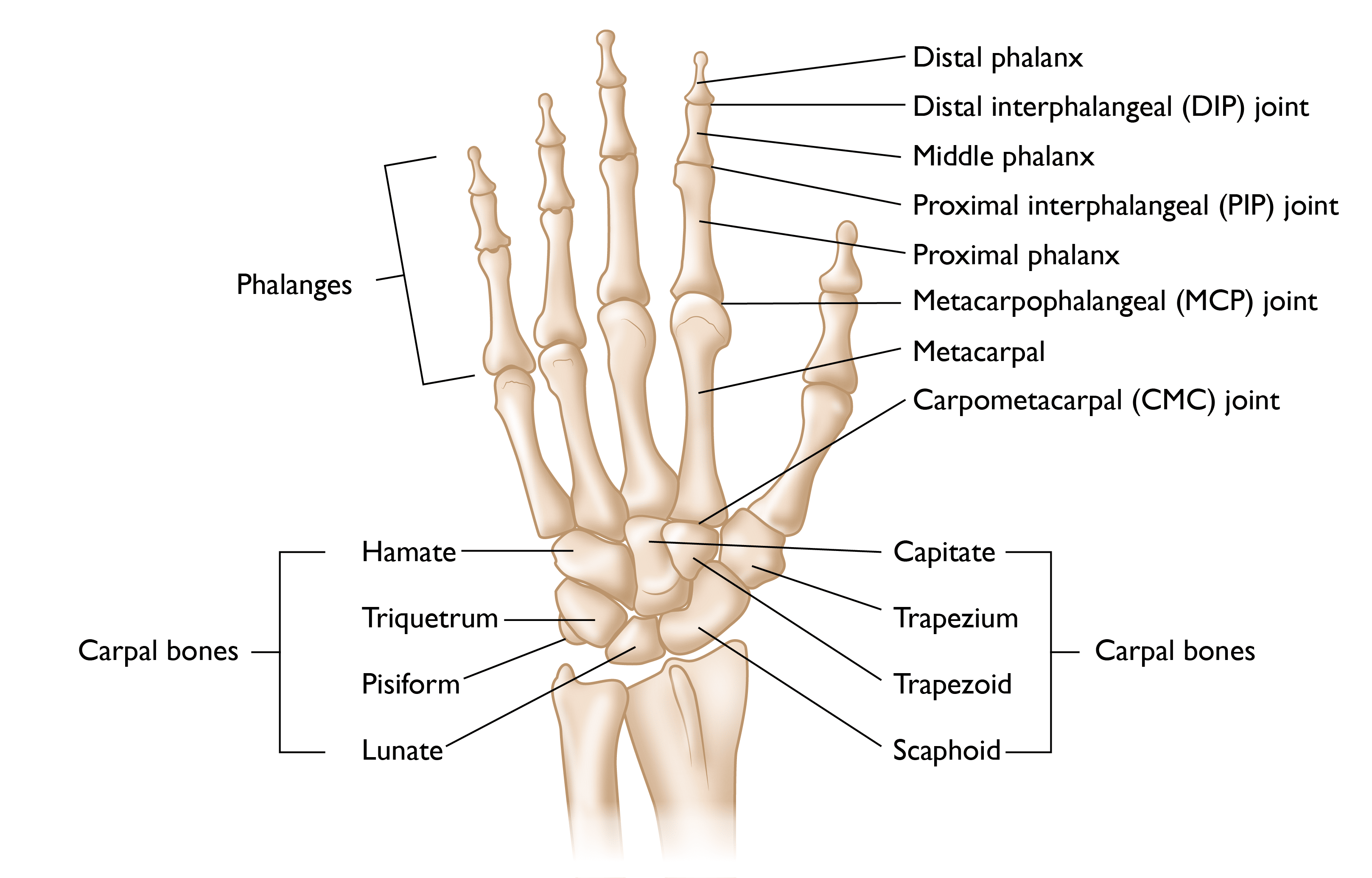 broken finger tip