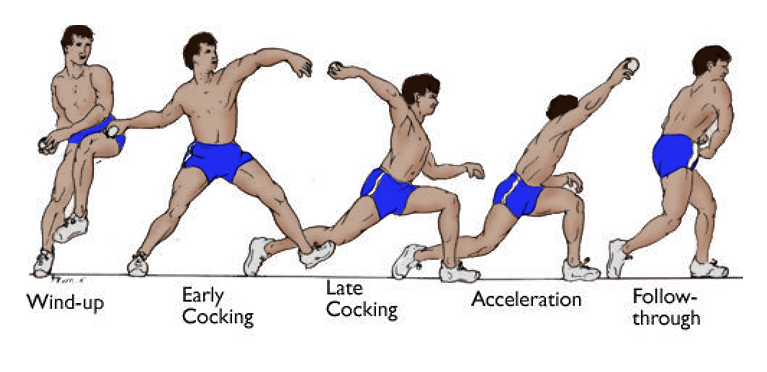 baseball pitching phases