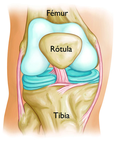 Bulto en la rodilla: Posibles causas -canalSALUD