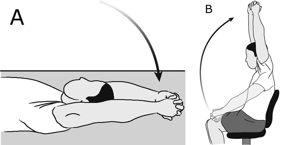 exercises after rotator cuff repair