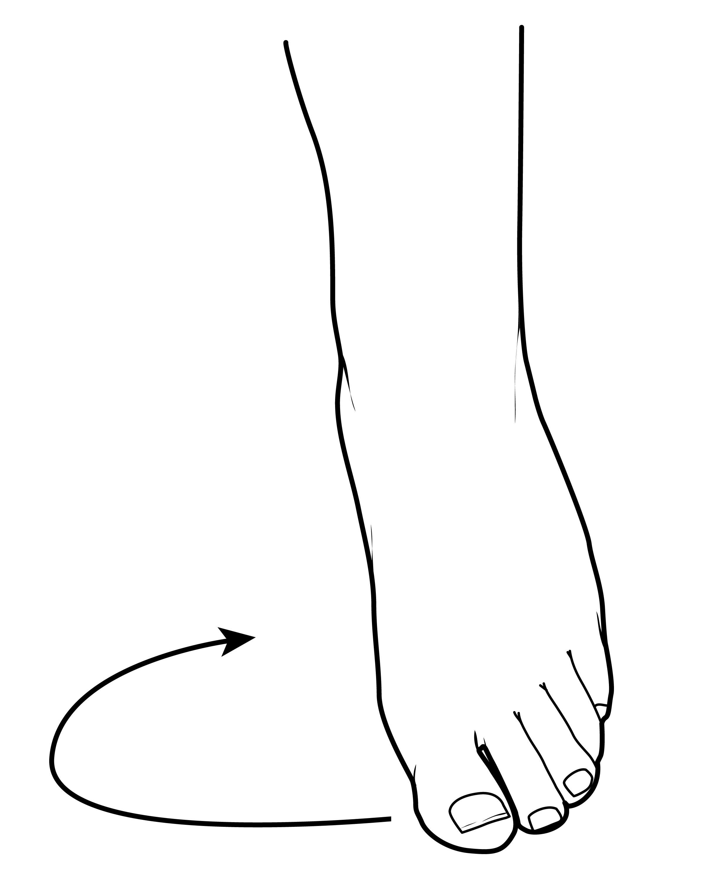 Ankle range of motion 